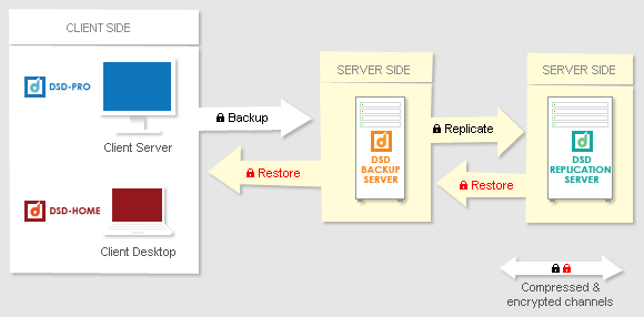 Components of DSD